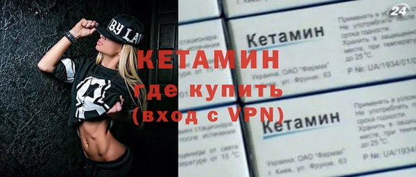 индика Алексин