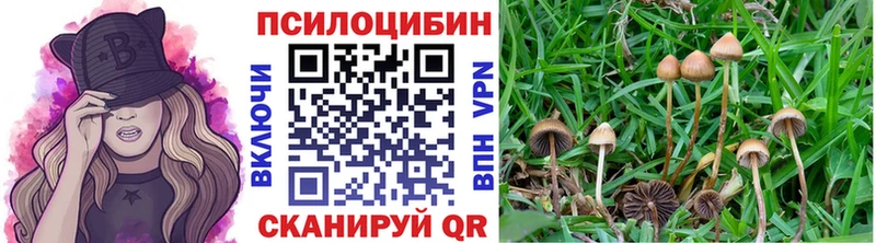 Галлюциногенные грибы Psilocybine cubensis  Малоархангельск 