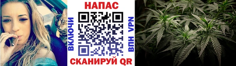 как найти закладки  Малоархангельск  mega сайт  Конопля марихуана 